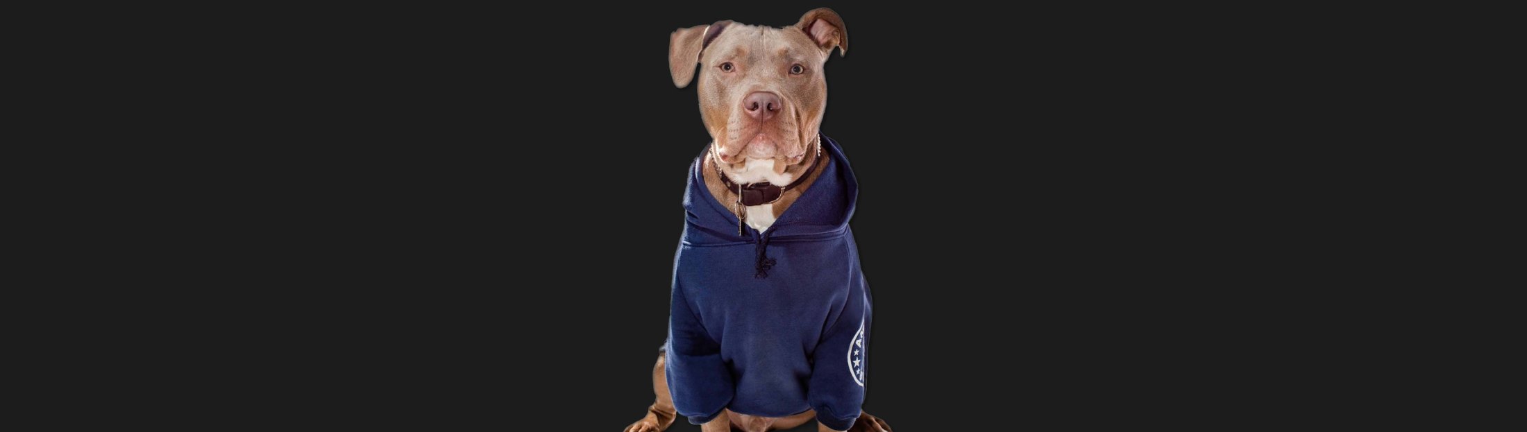 American Bully Pitbull Pet Apparel Hoodie Sweatshirt