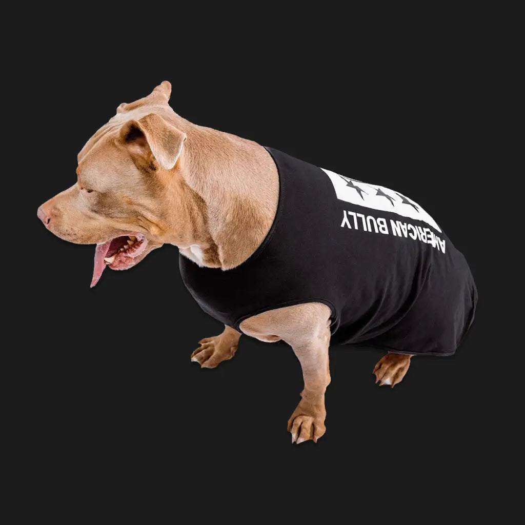 American Bully | Bulk Tee Package (3) - Americanbully - Dog Apparel