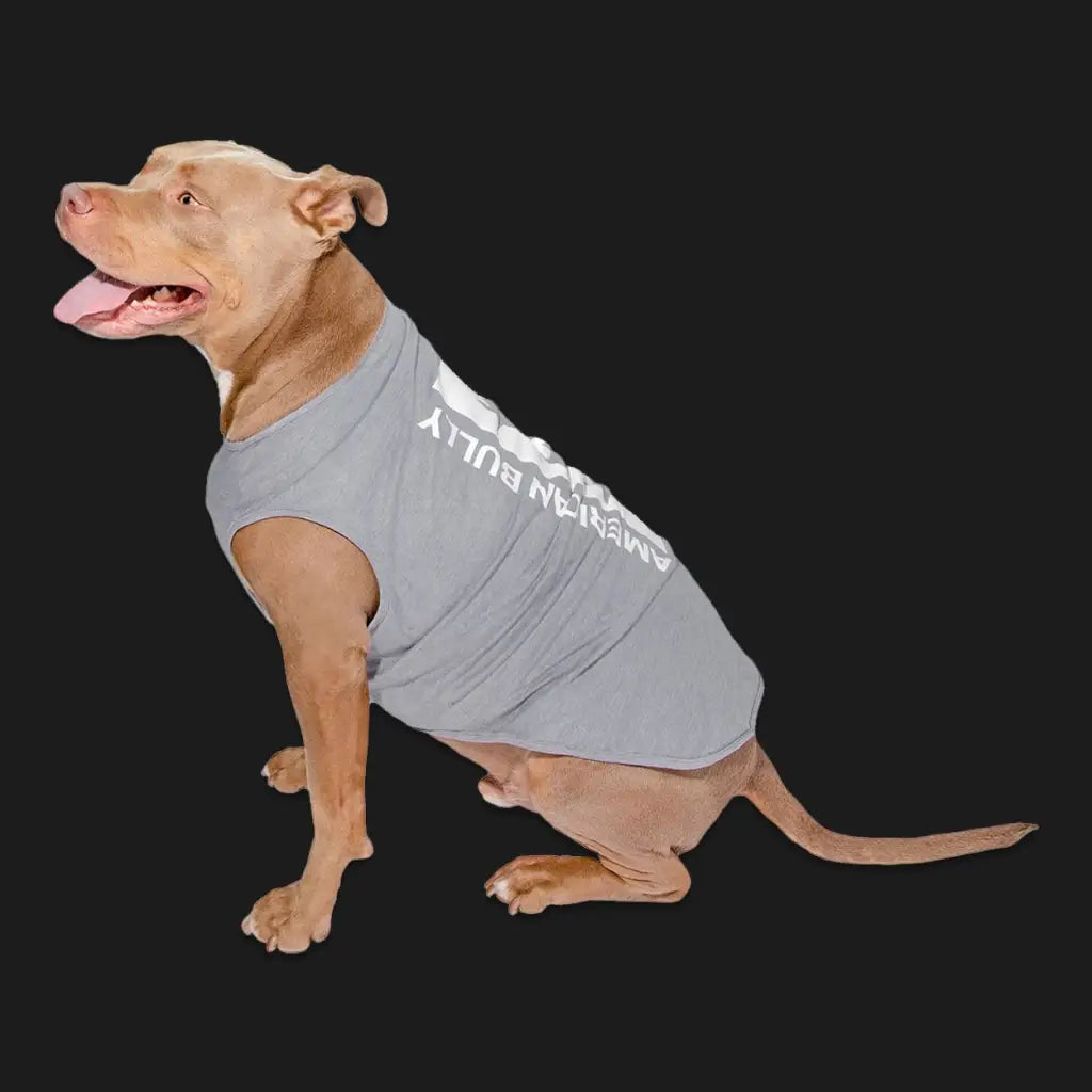 American Bully Tee | Super Stars | Grey - Americanbully - Dog Apparel