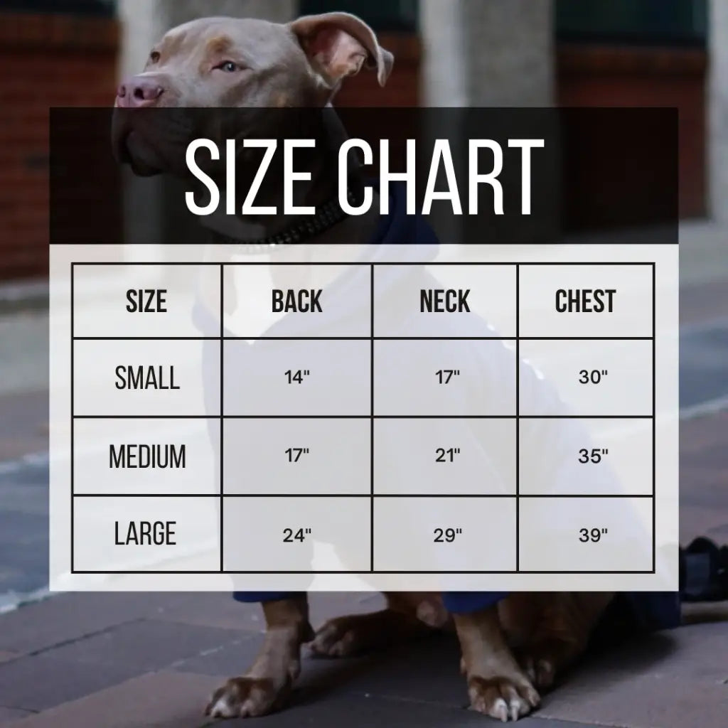 American Bully Size Chart