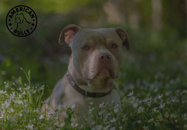 Hiking With Your Bully: Do's & Don'ts