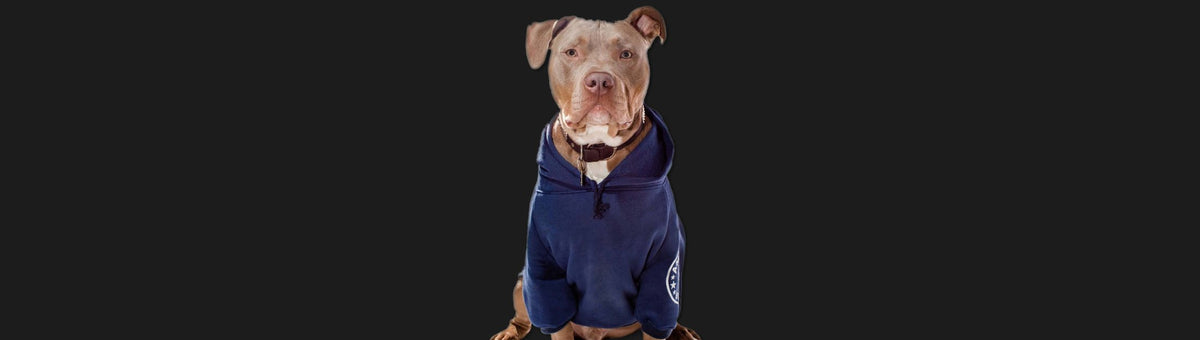 American bully hoodie hotsell