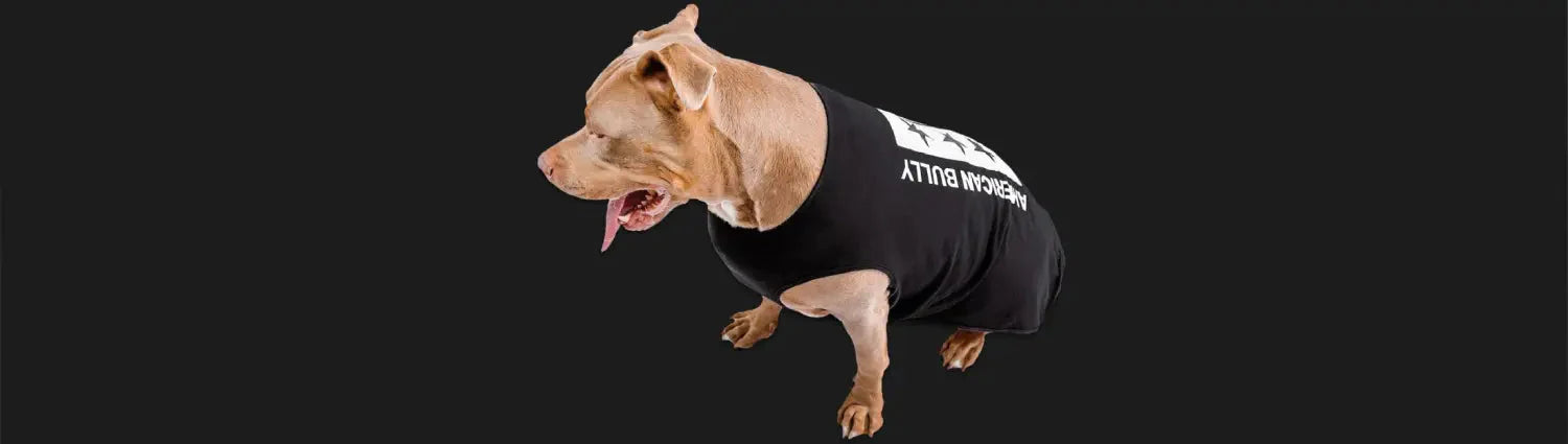 American Bully Pitbull Dog Apparel