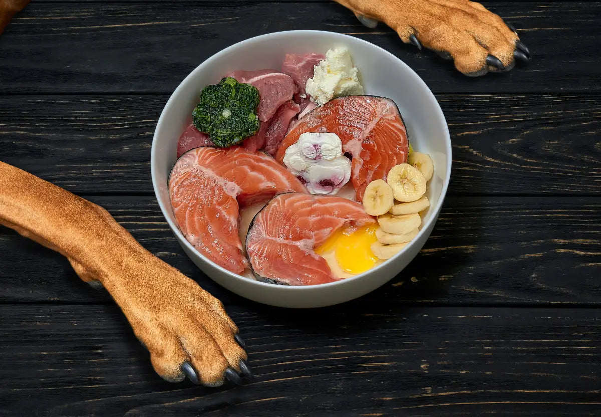 Nutrition Plans Tailored for American Bullies
