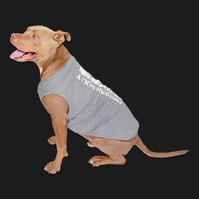 Grey American Bully Pitbull Dog Tee Shirt Top, Pet Clothing