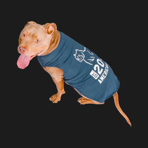Blue American Bully Pitbull Dog Tee Shirt Top, Pet Clothing