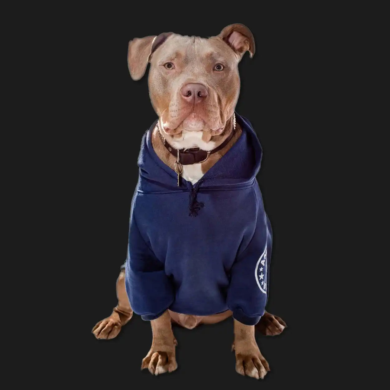 American Bully Pit Bull Pet Hoodie