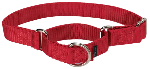 What Are Good Collars For American Bullies?